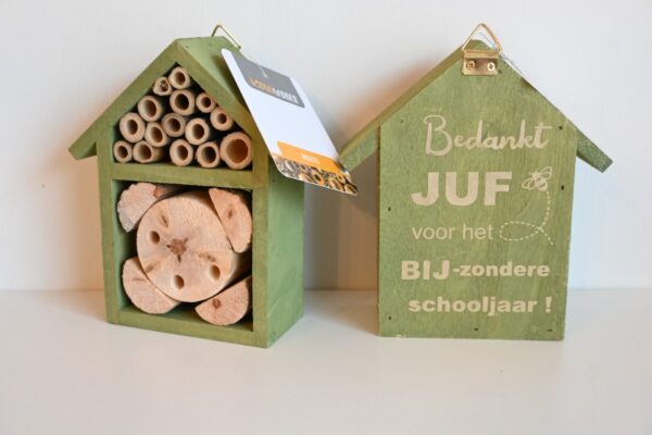 INS-004 - Afbeelding 4